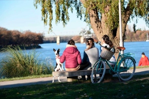 Viedma es ideal para escapadas y también vacaciones largas
