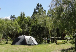 Estos son los mejores destinos para acampar en la Patagonia argentina